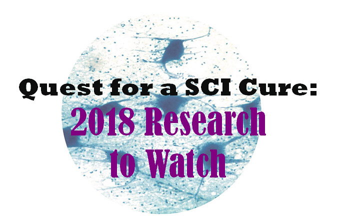 2018 Spinal Cord Injury Research