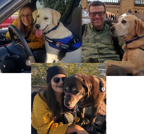 Life After Paralysis podcast: Episode #6 Service Dogs for Quadriplegics