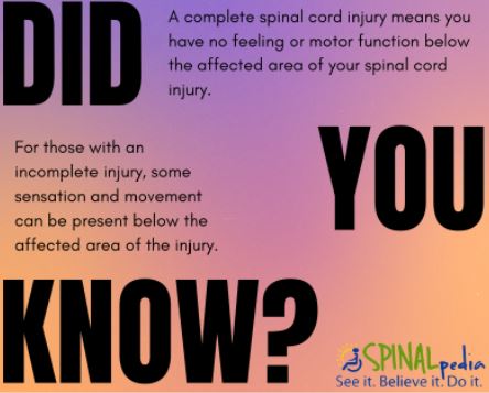 Spinal Cord Injury Awareness Month: SCI Facts